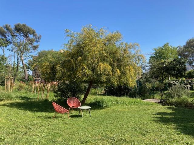 Un Jardin Dans La Ville La Ciotat Exterior photo
